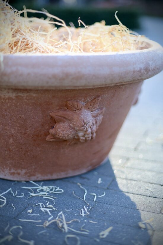 Bļoda ar augļu dekoriem - izmērs - D55H29